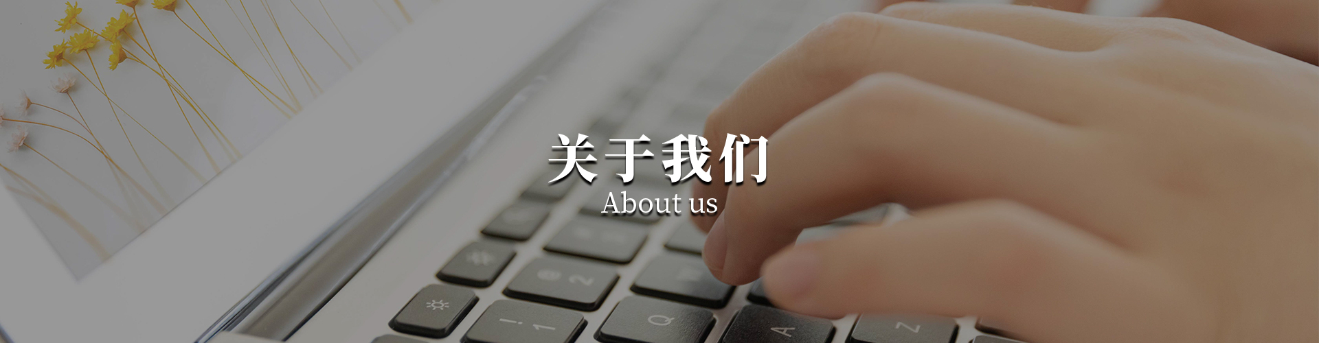 国电传播简介
